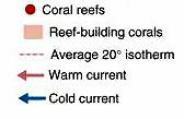 temperatures above 20ºC (68ºF) Depending on the species, if temperature is above 30-35ºC (86-95ºF) Bleaching occurs Because of heat stress