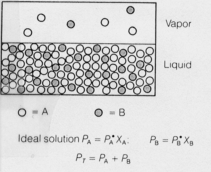 Ideal Solution An Ideal Solution might better be called an Ideal Mixture, since, as in an Ideal Gas, no