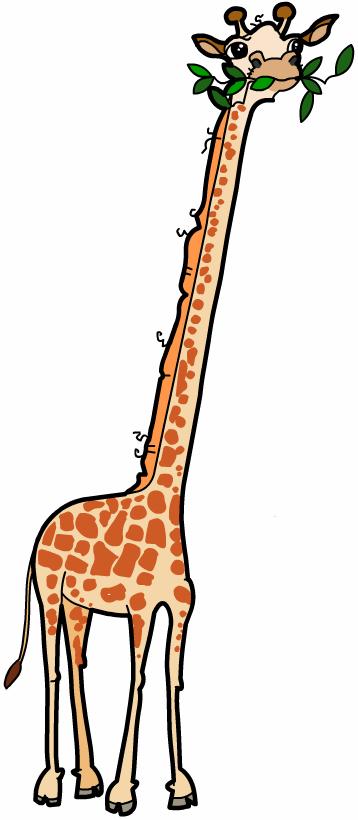 How the giraffe got its neck 9 of 7 How does Darwin s theory explain a giraffe s long neck? Due to natural variation, the ancestors of modern giraffes would have had necks of different length.