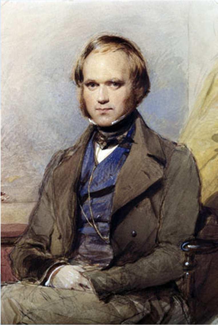 Darwin s Observations > Darwin however was influenced by Lamark s idea that