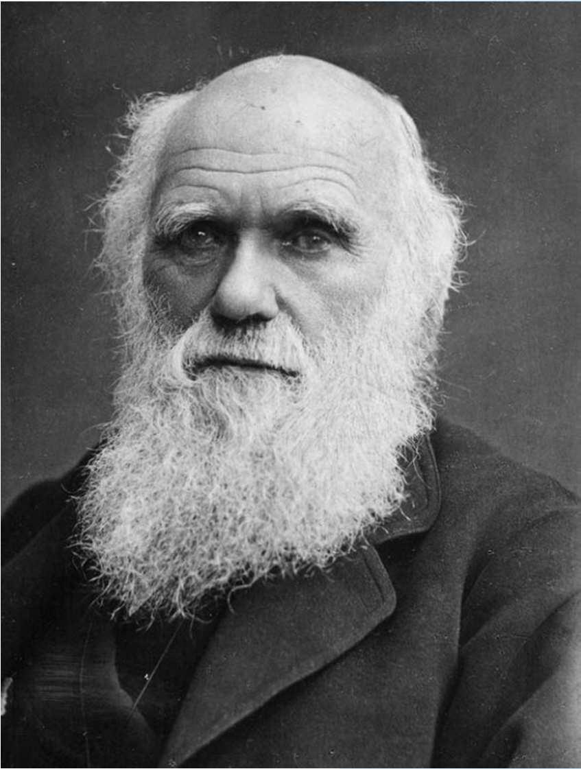 Though Darwin gets much of the credit today for his theory of