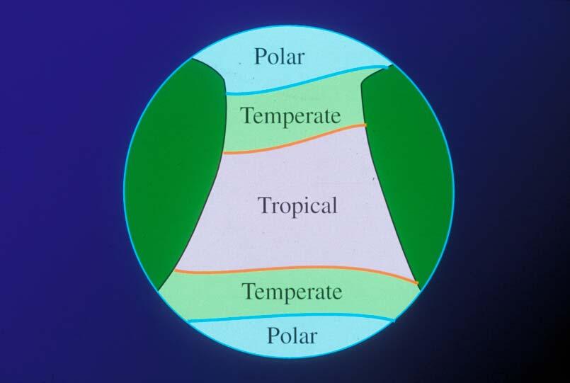 11 Slide 19 Dietrich s Oceanographic Classification Based on circulation, temperature and salinity (& upwelling) 7 main groups, 6 based on ocean currents (polar is not) Four are subdivided into types