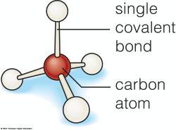 Carbon can form 4