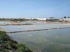factory for salt manufacturing, farmland