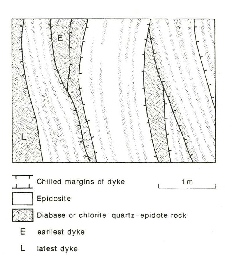 dykes Bands of epidosite parallel dyke margins
