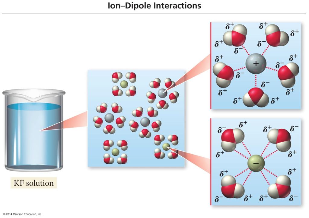 Ion Dipole Interactions When ions dissolve in water they become hydrated.