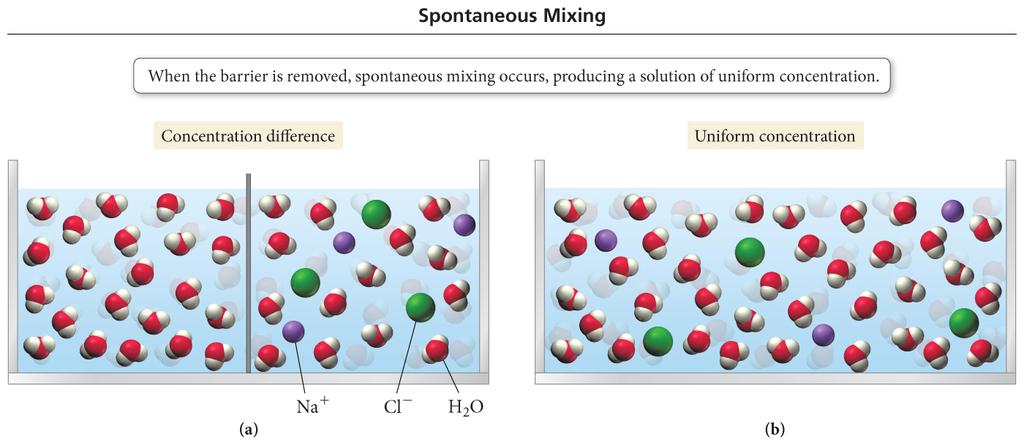 Spontaneous Mixing When solutions with different solute concentrations come in contact,