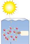 4.1 Photosynthesis & The Greenhouse Effect Solar radiation warms the Earth. Most radiates back into space.