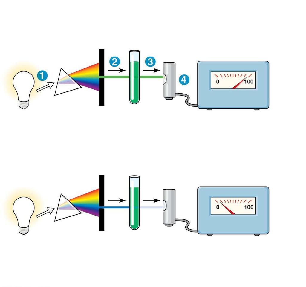 Figure 8.8 Technique White light Refracting prism Chlorophyll solution Photoelectric tube Galvanometer Slit moves to pass light of selected wavelength.