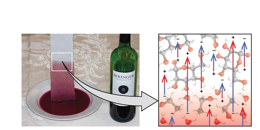 OpenStax-CNX module: m51078 6 Figure 5: Wine wicks up a paper towel (left) because of the strong attractions of water (and ethanol) molecules to the OH groups on the towel's cellulose bers and the