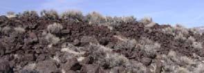 Younger volcanic craters