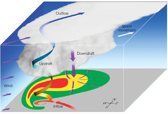 BONUS SLIDES: Supercells (a) A spinning vortex tube created by wind shear.