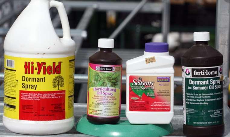 Oils used during the dormant season can help