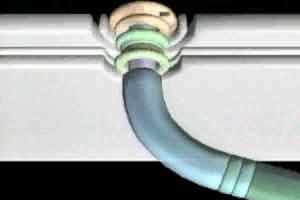 Flagellum: assembly process Movie of Flagellum Assembly: http://stock.cabm.rutgers.