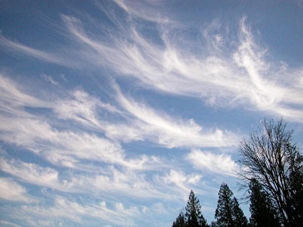 Station B 5. Clouds that are in layers are called: a. cirrus b. stratus c. cumulus 6. What color does a cloud have that usually can predict hail, or even tornados?