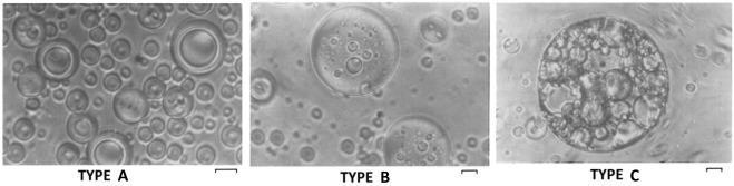 Three Types of Double Emulsions The type A was found to be the simplest system consists of relatively small droplets with almost single droplet of the internal aqueous phase.