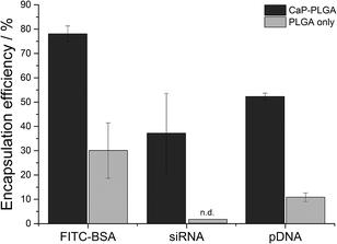 FITC-BSA, sirna, and pdna into PLGA nanoparticles with (black) and without (grey) the addition of