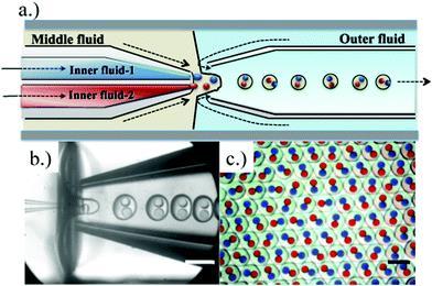 , 2012, 20, 422 Schematic of a microfluidic capillary device for preparation