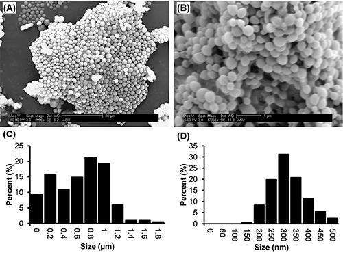Controllable Particle Size SEM images and corresponding size distributions of PLGA microparticles and nanoparticles produced by the single emulsion method.