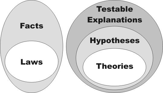 Outcomes Over the Long-Term Theory (Model) - A set of tested hypotheses that give an overall explanation of some