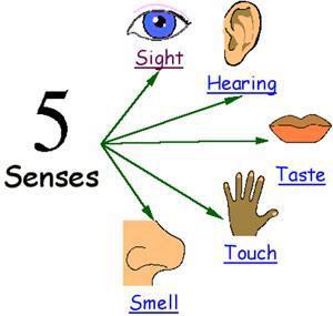 observing with the 5 senses, such as the smell or colour.