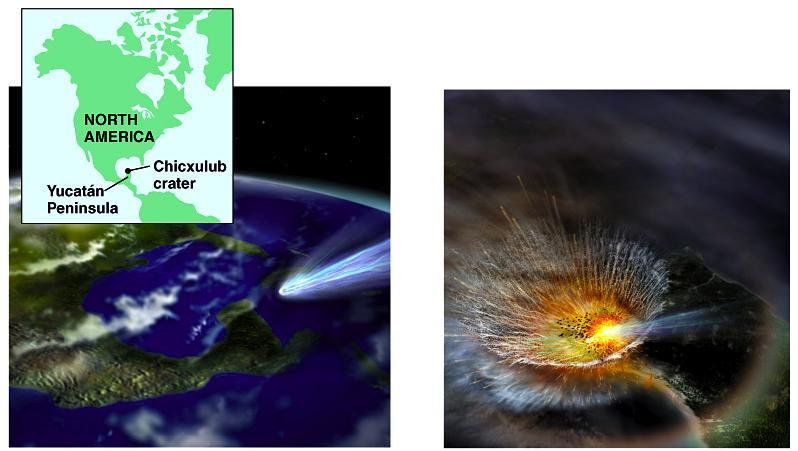 fossil record 543 mya Cretaceous extinction The Chicxulub impact crater in the Caribbean Sea near