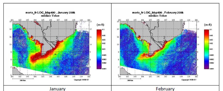 Delta Plume Investigations Analysed ~2000 satellite images of Mekong River plume obtained between 2003 and 2011 Optical properties provide information about: Suspended Particulate Matter (SPM)