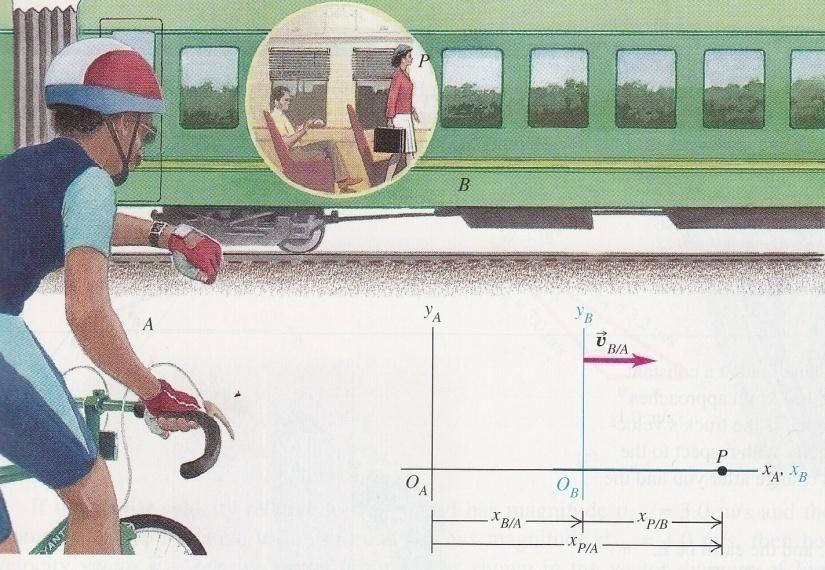Relative Velocity (1-D) The velocity with respect to a particular reference frame The woman The train The road The bike rider Woman s velocity relative