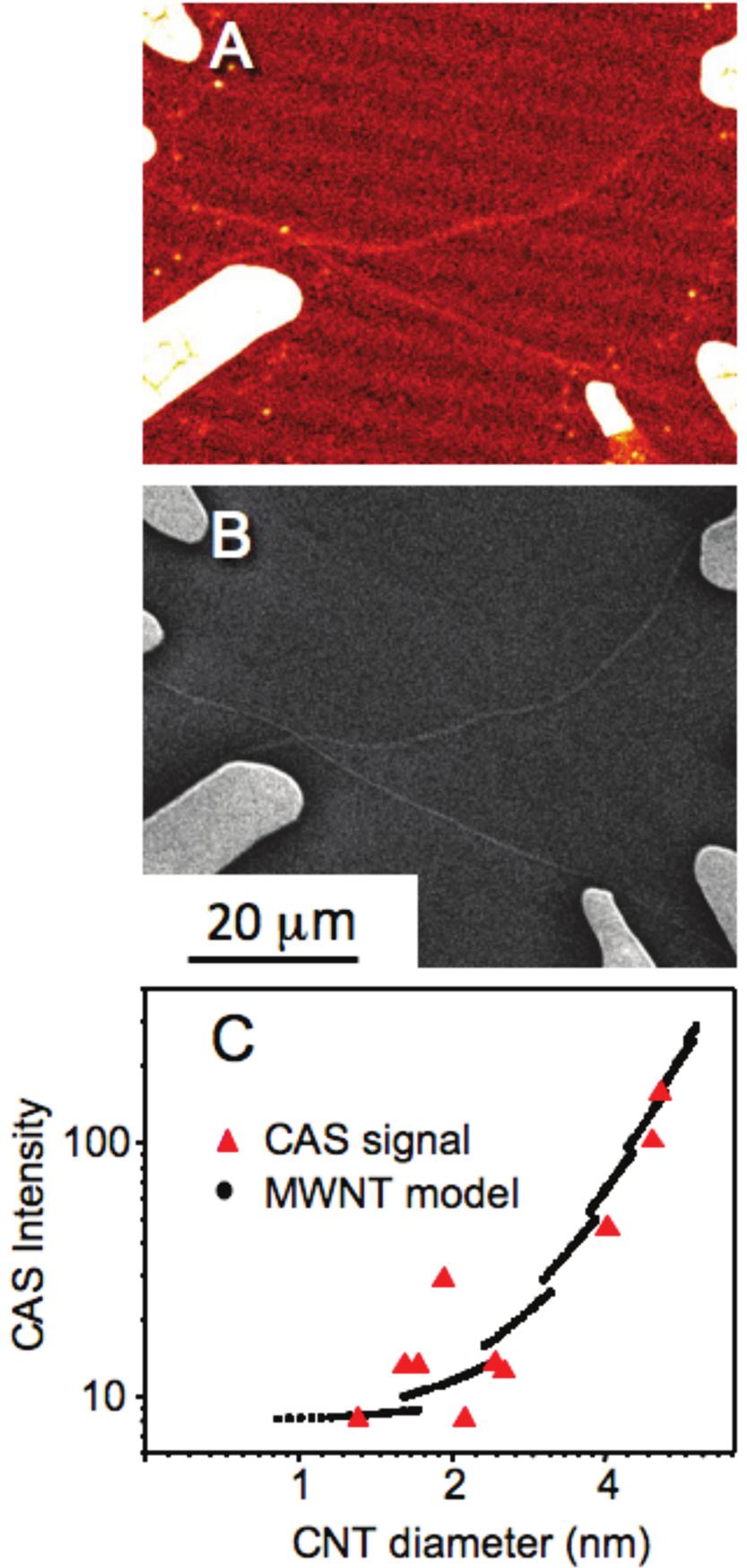 Figure 3. CAS image of an individual CNT when the polarization of the incident beam is (A) parallel and (B) perpendicular to the long axis of the nanotube.