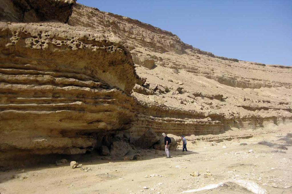 Eocene nearshore marine sandstones and limestones, Wadi Degla, northern Egypt. Table 1. Levant Basin Province assessment results.