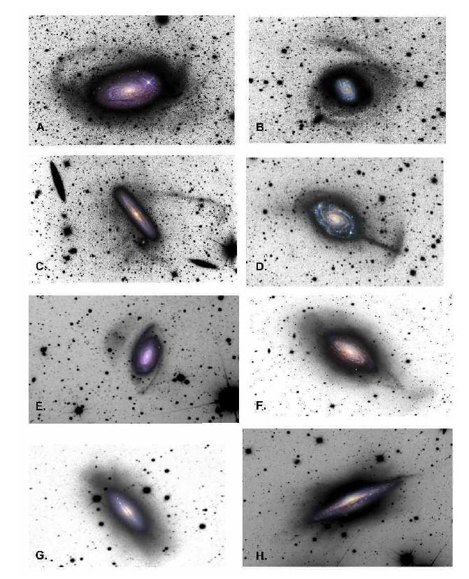 Martinez-Delgado et al. 2010 has now found tidal streams around A large number of spiral galaxies.