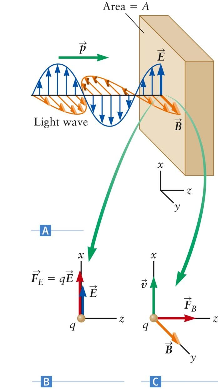EM Waves Carry Momentum An electromagnetic wave has no mass, but it does carry momentum Consider the collision