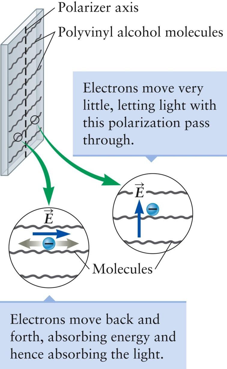 Operation of a Polarizer Most applications use a sandwich structure with certain types of long molecules placed between thin sheets of plastic When