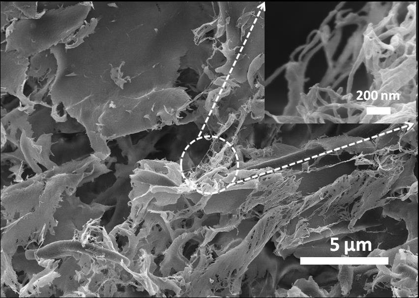 Supplemental Information Materials Cellulose nanocrystals with approximately 5 nm in diameter and 150-200 nm length were obtained from Process Development Center, University of Maine (freeze-dried