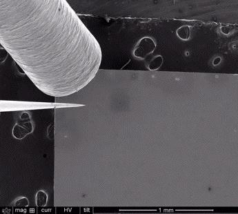 nm : 15 µm
