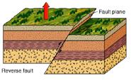 normal faults, that drop down or are uplifted are known