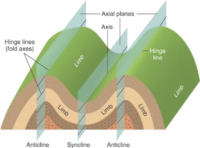 Types of Geologic Structures Folds are wavelike bends in