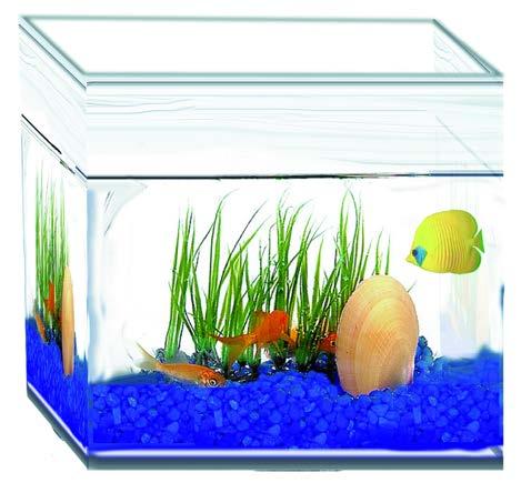 m cm 0 A fish tank has a volume of 000cm, a length of 0cm, and a width of 0cm.