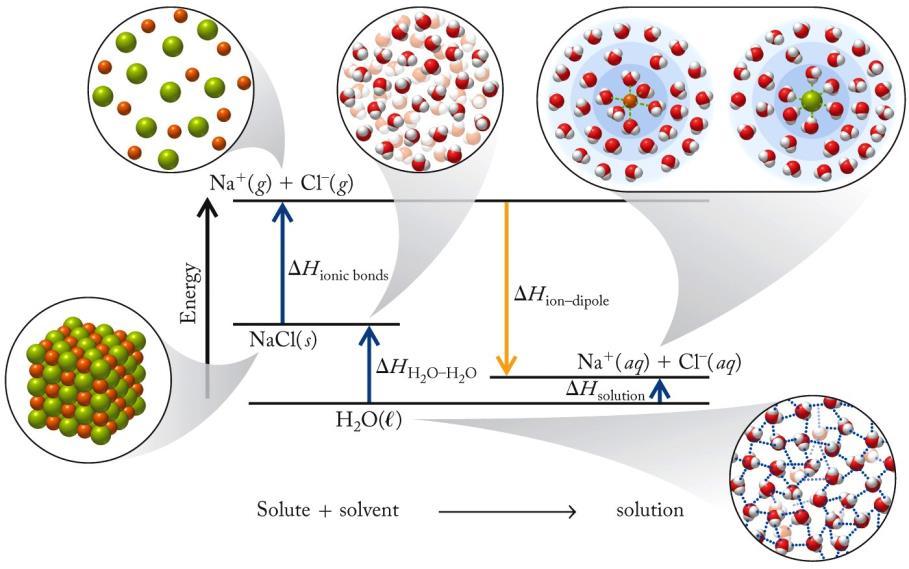 together» Interactions between solute ions and solvent molecules H soln = H ion-ion + H