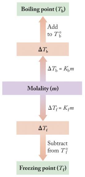 Boiling-Point Elevation and Freezing-Point Depression Boiling Point Elevation (ΔT b ): ΔT b = K b m K b = boiling point elevation constant of solvent; m = molality.