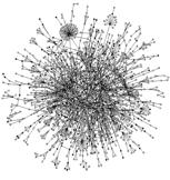 Networks in Biology Network Protein Interaction Metabolic Transcriptional Nodes