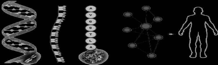 System level understanding of biological networks Common elements of systems biology Networks Modeling Computation