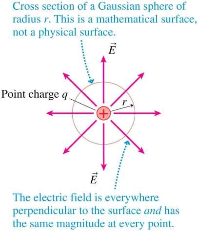 Electric Flux of a Point Charge The flux integral through a spherical Gaussian surface centered on a single