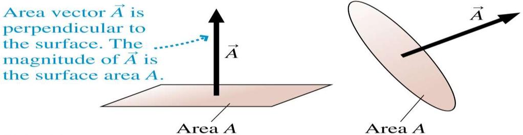 The Area Vector Let s define an area vector to be a vector in the direction of, perpendicular to
