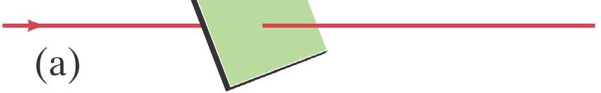 The rectangle is 10 cm by 20 cm,