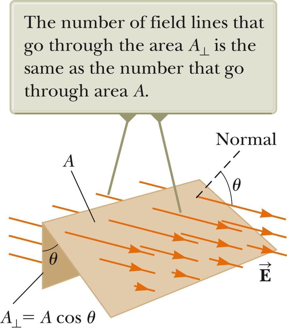Electric Flux, General Area The electric flux is proportional to the number of electric field lines penetrating some