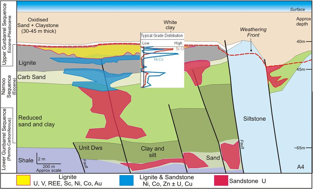 Mineralisation model and
