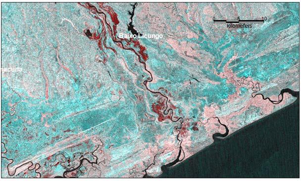 Coastal flooding? Red is flooding as recorded by lower backscatter in Jan. 11 Sentinel 1 SAR image, compared to previous image Dec. 24.