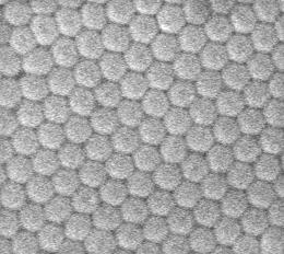 pores on 100 nm centers produced