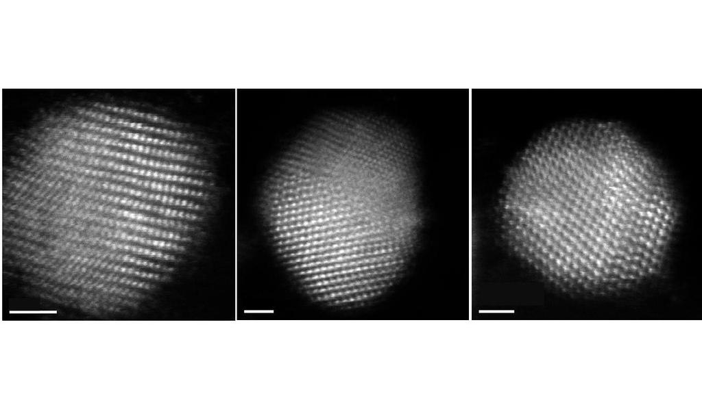 Supplementary Figure 4 Atomic resolution Z-contrast images Atomic resolution Z- contrast image of different Pd-W nanoparticles on OMCs (Pd-W/OMCs).